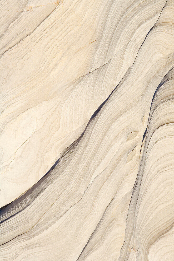 Royal National Park sandstone patterns, NSW, Australia