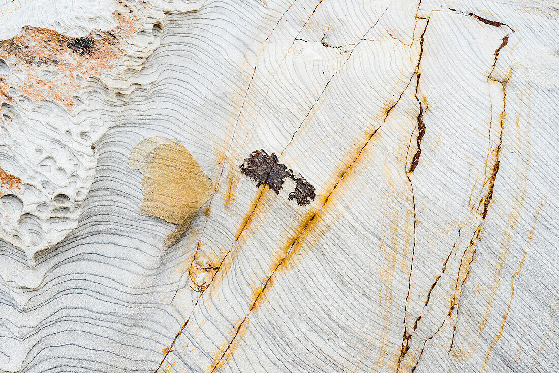 Royal National Park sandstone patterns, NSW, Australia