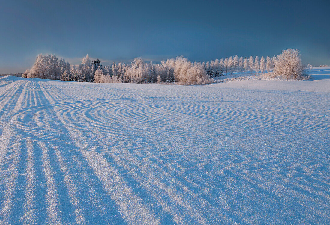 Winterlandschaft, Gratmuster auf einem schneebedeckten Feld, das durch das Pflügen von Landmaschinen entsteht