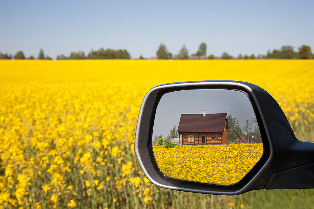 Building viewed in car side wing mirror, yellow flowering oil seed rape field and rural landscape