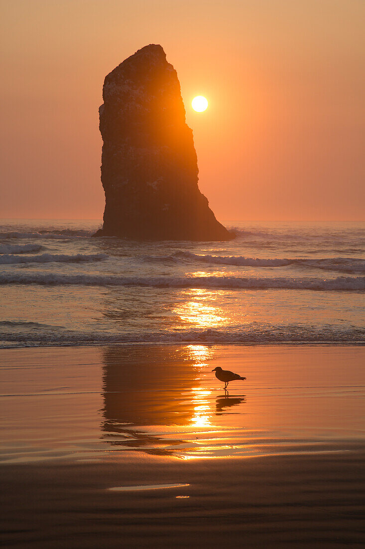 Sun setting behind rock in waves on beach.