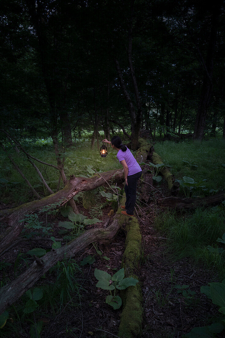 Frau steht auf Holzzaun in einem Wald und hält eine Lampe in der Dämmerung.