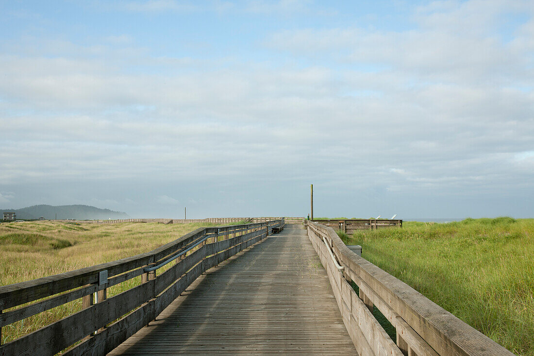 Boardwalk through grassland with mountains, USA