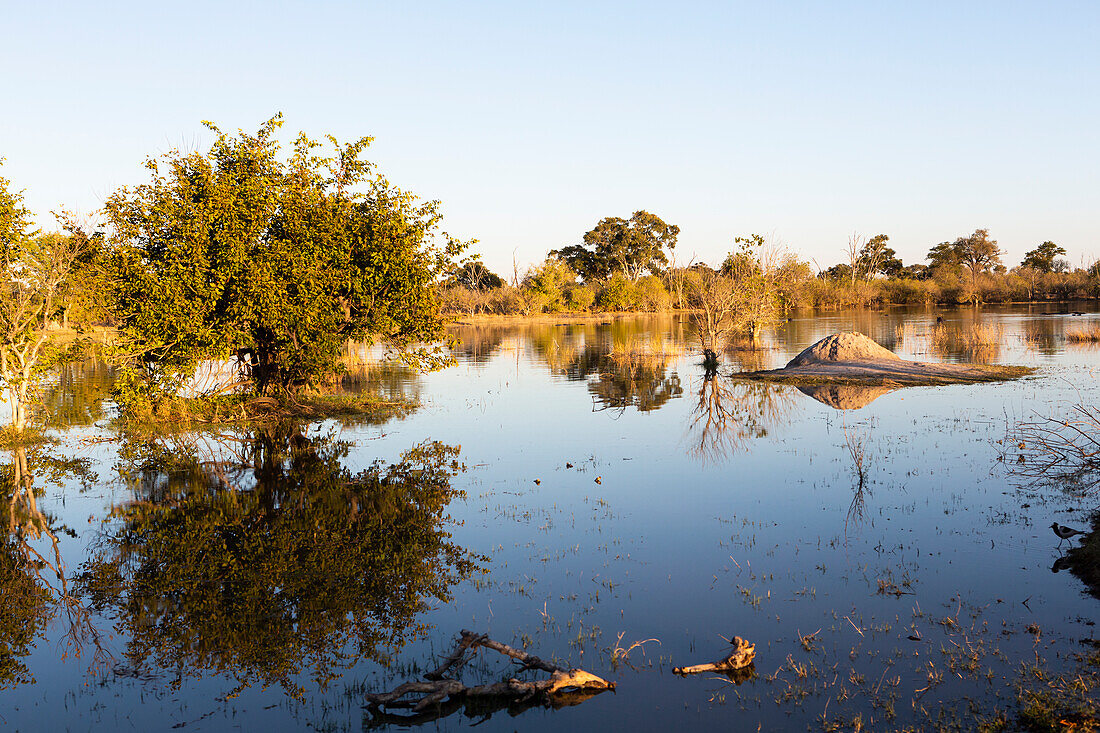 Landschaft, Okavango Delta, Botswana.