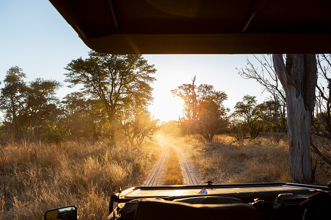 Safarifahrzeug bei Sonnenaufgang, Okavango Delta, Botswana.