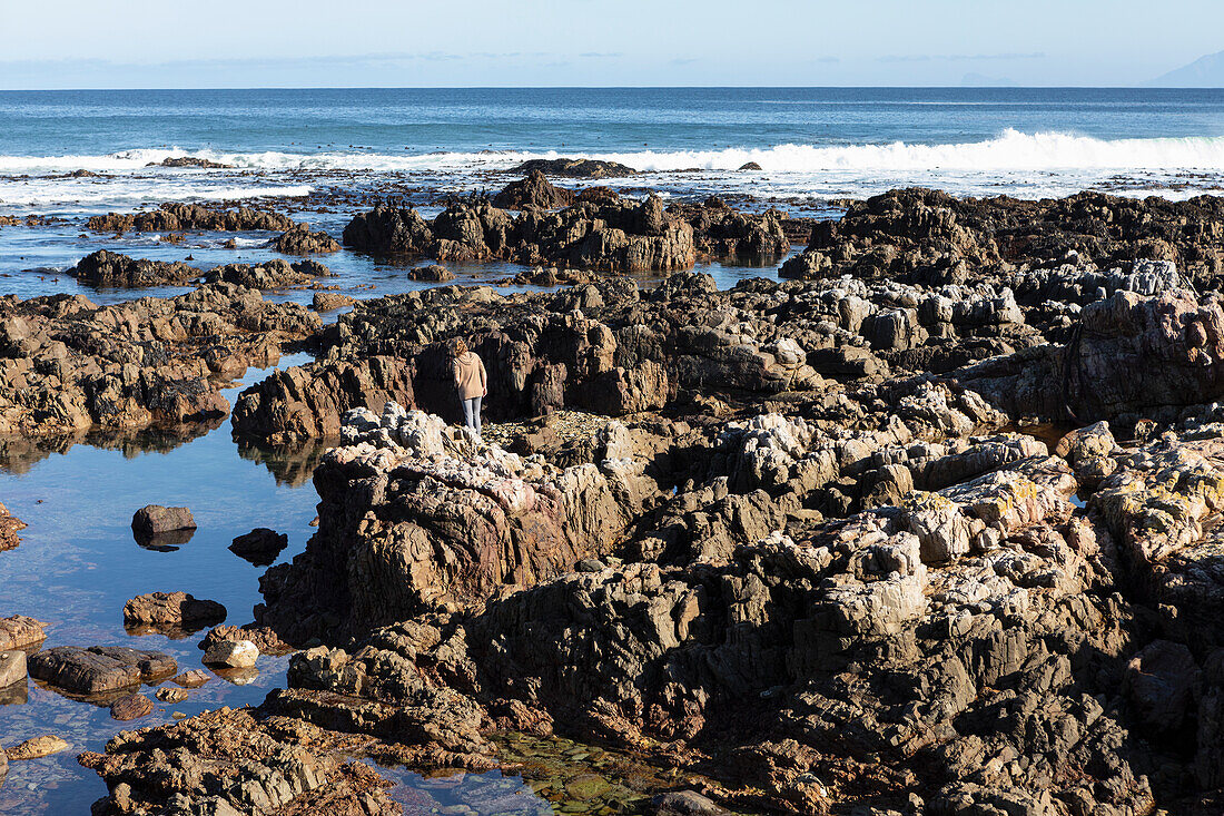 Ein junges Mädchen, das die Rock Pools an der Atlantikküste, De Kelders, Western Cape, Südafrika, erkundet.