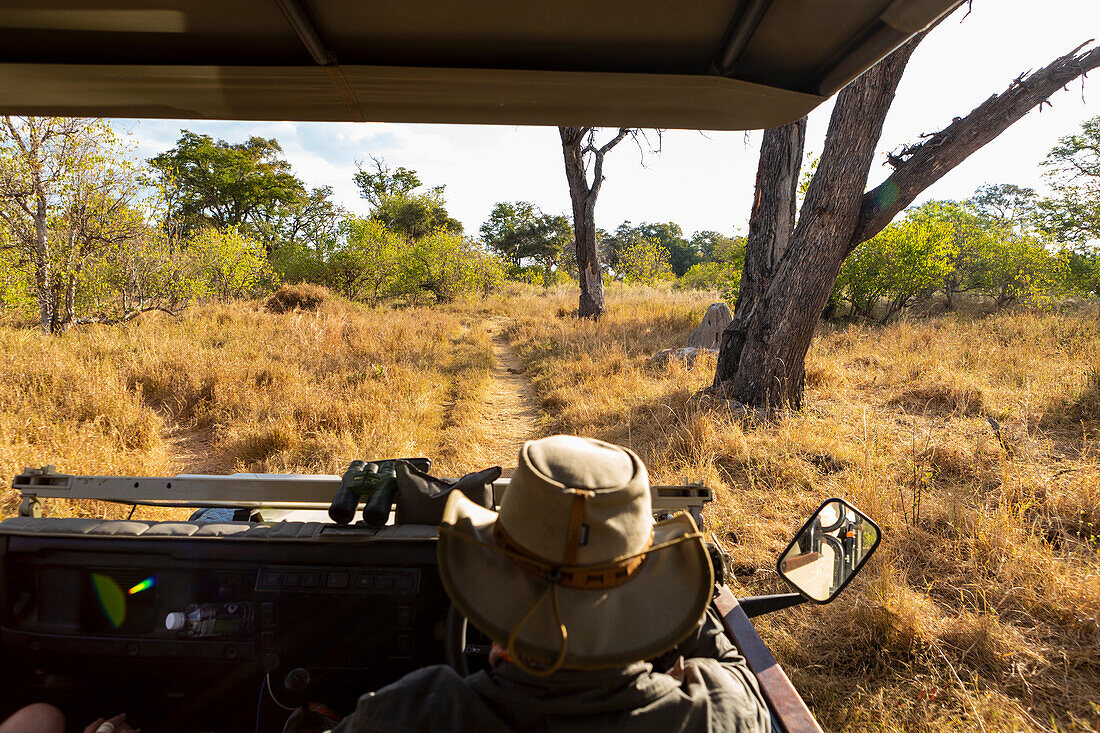 Ein Safariführer mit Buschhut am Steuer eines Jeeps, in der Ferne ein Elefant, Okavango-Delta, Botswana, Afrika