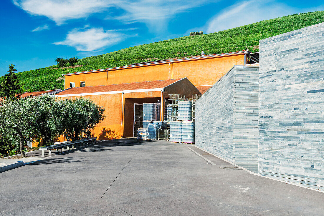 Vineyard and winery buildings in the Douro Valley, Portugal