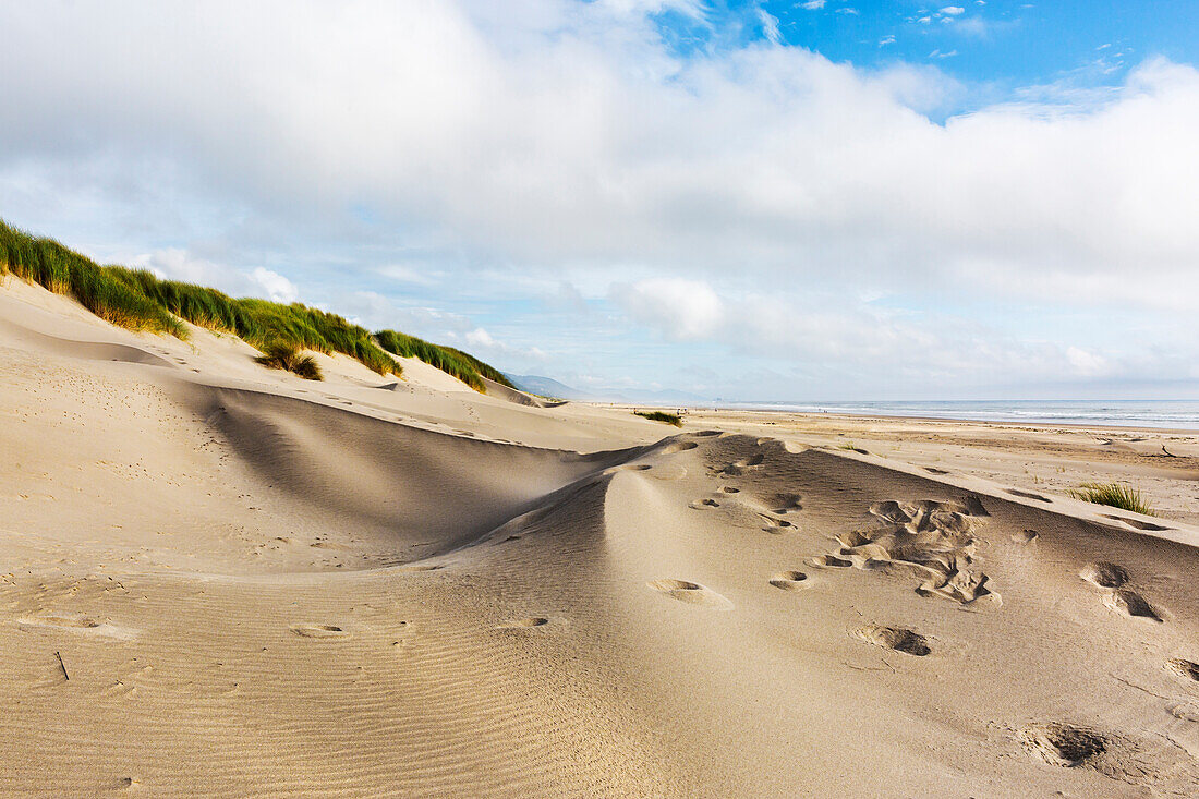 Nehalem Beach, sand dunes and footprints leading up a slope, USA