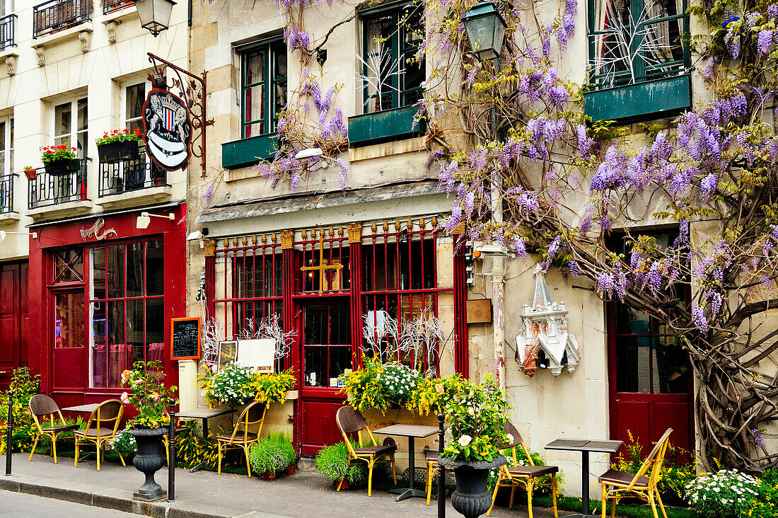 Café außen, Bürgersteig außen und blühende Glyzinien-Kletterpflanzen, Straßenschilder, Paris, Frankreich