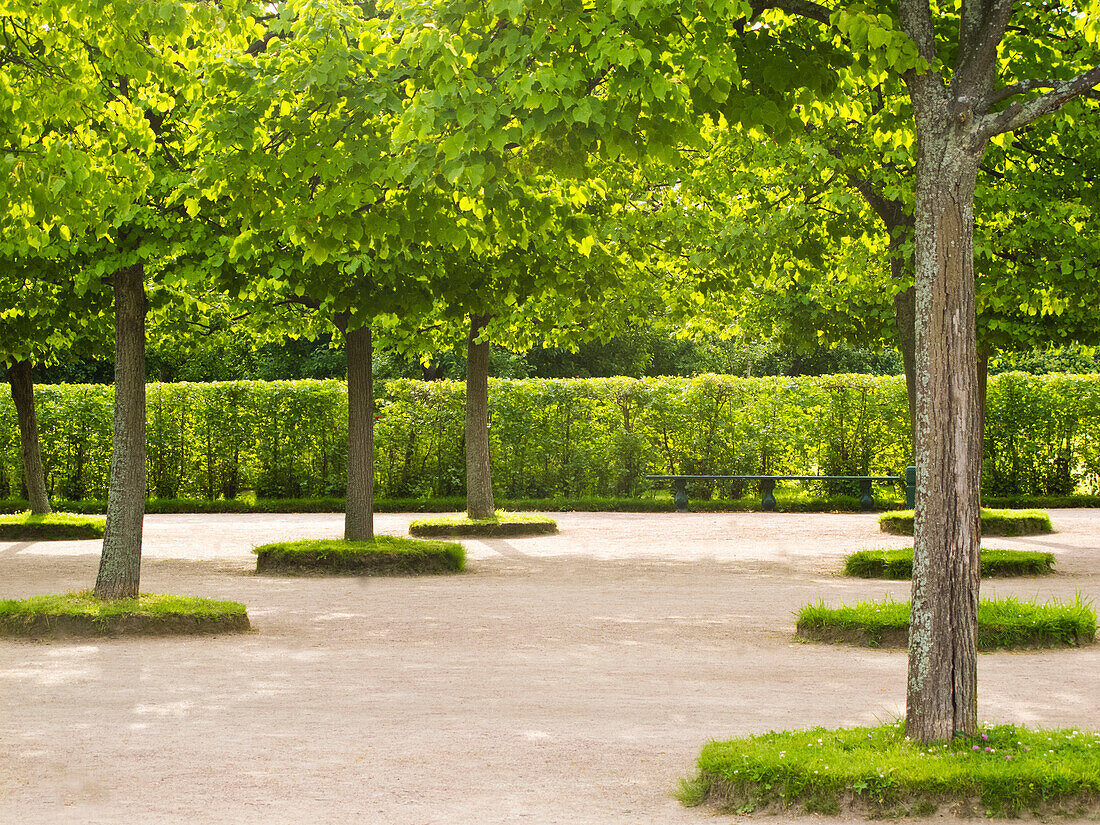 Gärten des Schlosses Peterhof, Bäume, Hecken und Wege, St. Petersburg, Russland