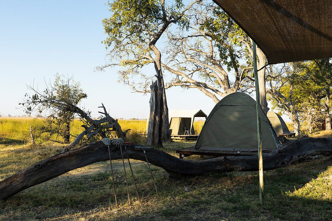 Eine Gruppe kleiner Zelte im Schatten von Bäumen, ein permanentes Lager, Okavango-Delta, Botswana, Afrika