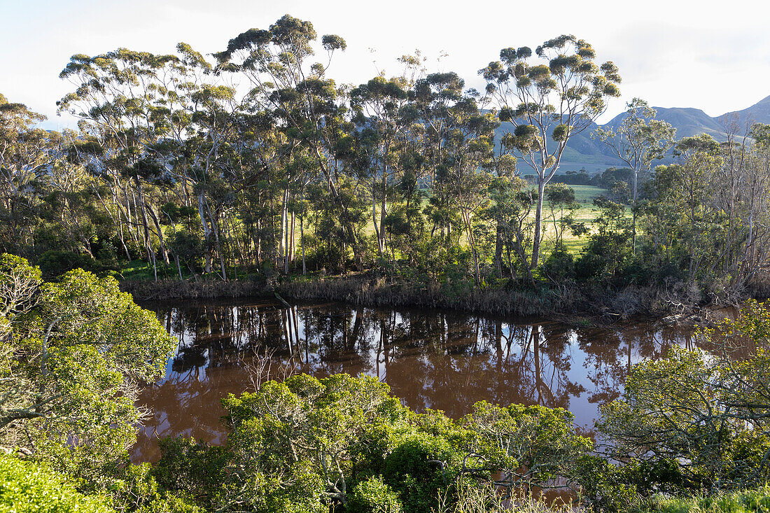 Klein River, Stanford, Südafrika