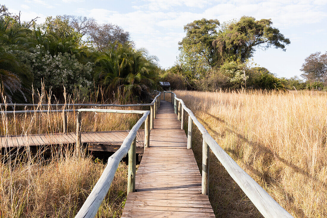 Wooden walkway across wetlands, Okavango Delta, Botswana