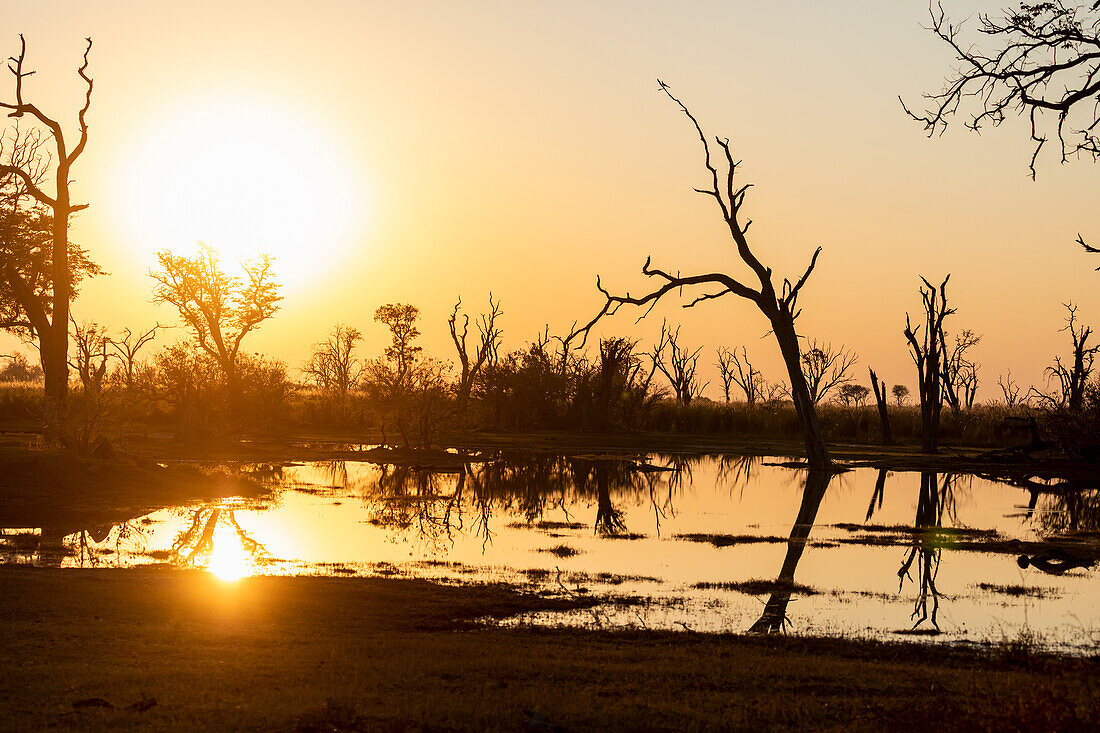 Sonnenaufgang über Wasser, Silhouetten und Spiegelungen in der Wasseroberfläche, Okavango-Delta