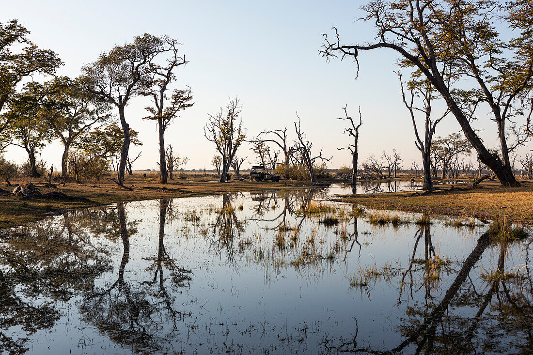 Landscape, wetlands, trees reflected in calm water, Okavango Delta, Botswana