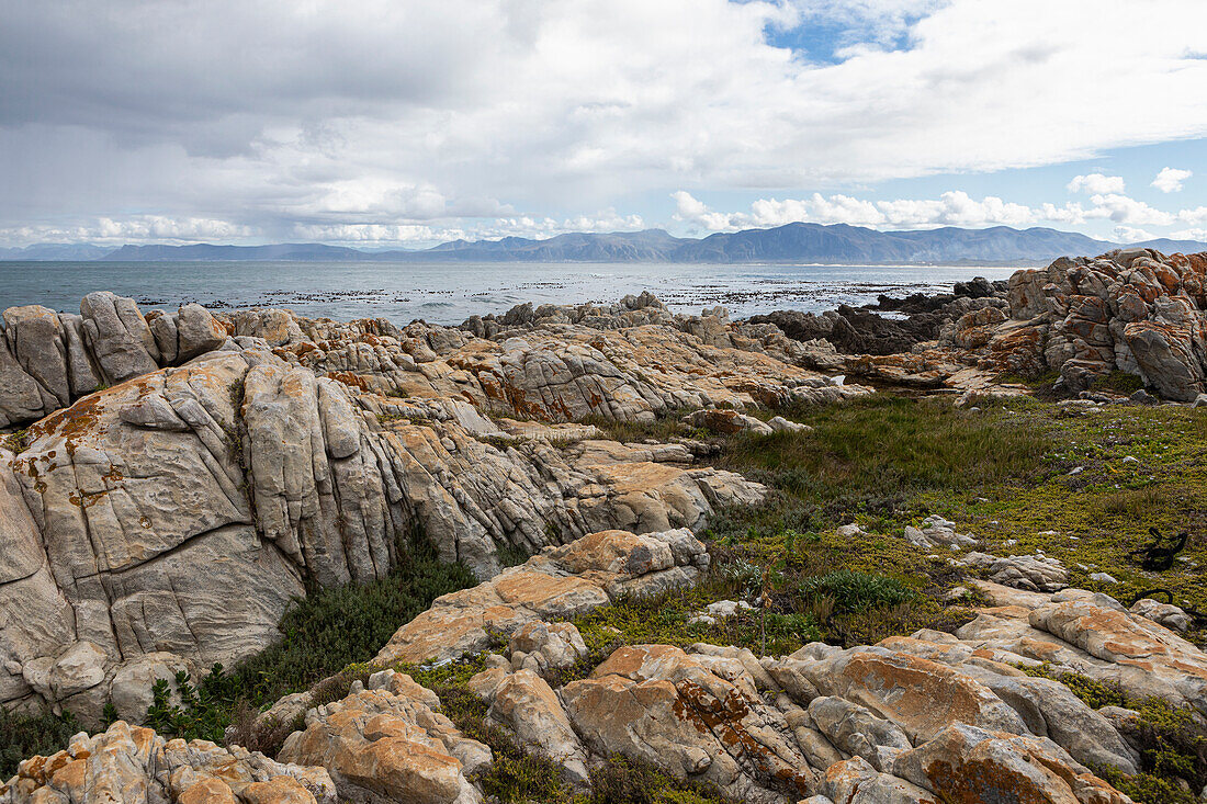 Rocky jagged coastline, eroded sandstone rock, view out to the ocean, De Kelders, South Africa