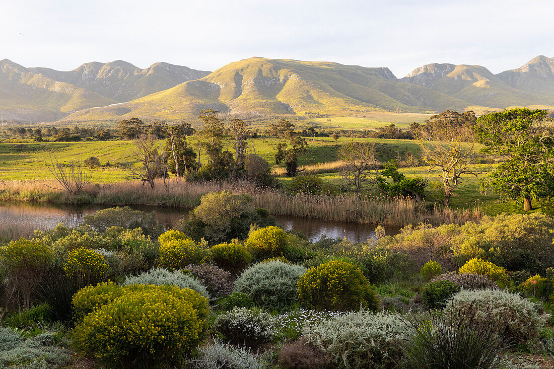 Blick über eine ruhige Landschaft, ein Flusstal und eine Bergkette, Klein Mountains, Südafrika