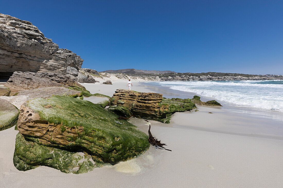 Felsformationen und Klippen mit Blick auf einen Sandstrand mit Wellen, die am Ufer brechen, Walker Bay Naturreservat, Südafrika