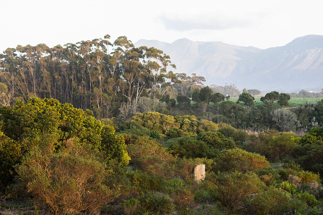 Wandel Pad, Stanford, Westkap, Südafrika.