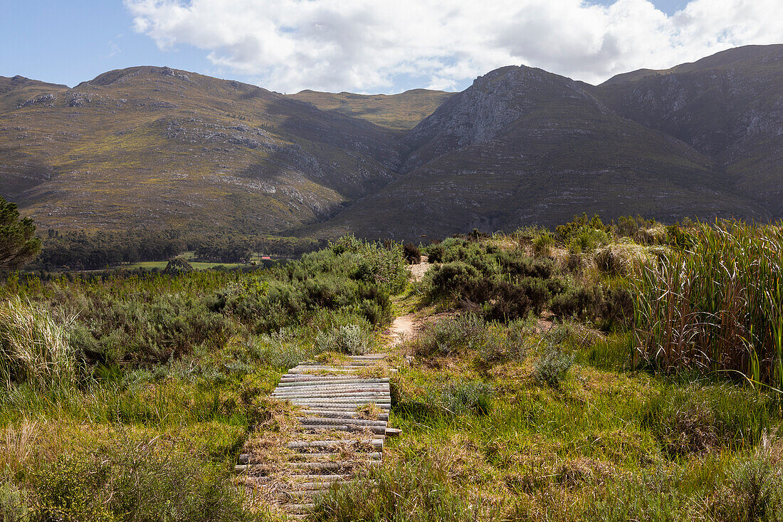 Landschaft, Stanford Valley Guest Farm, Stanford, Western Cape, Südafrika.