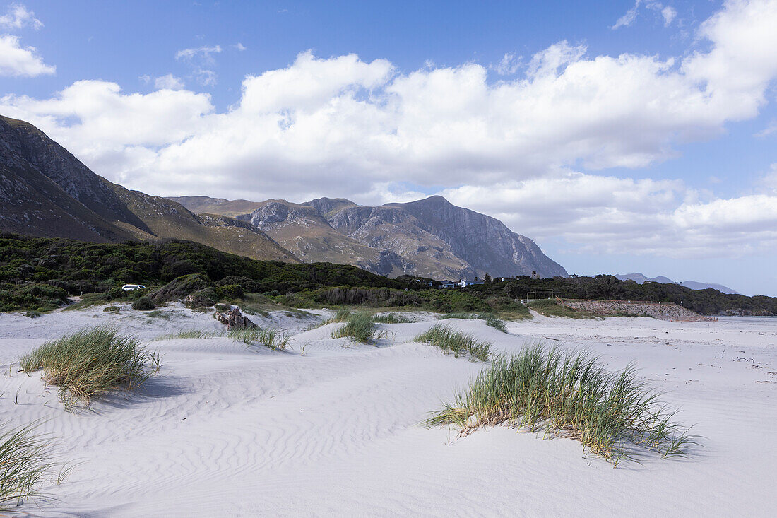 Grotto Beach, Hermanus, Westkap, Südafrika.