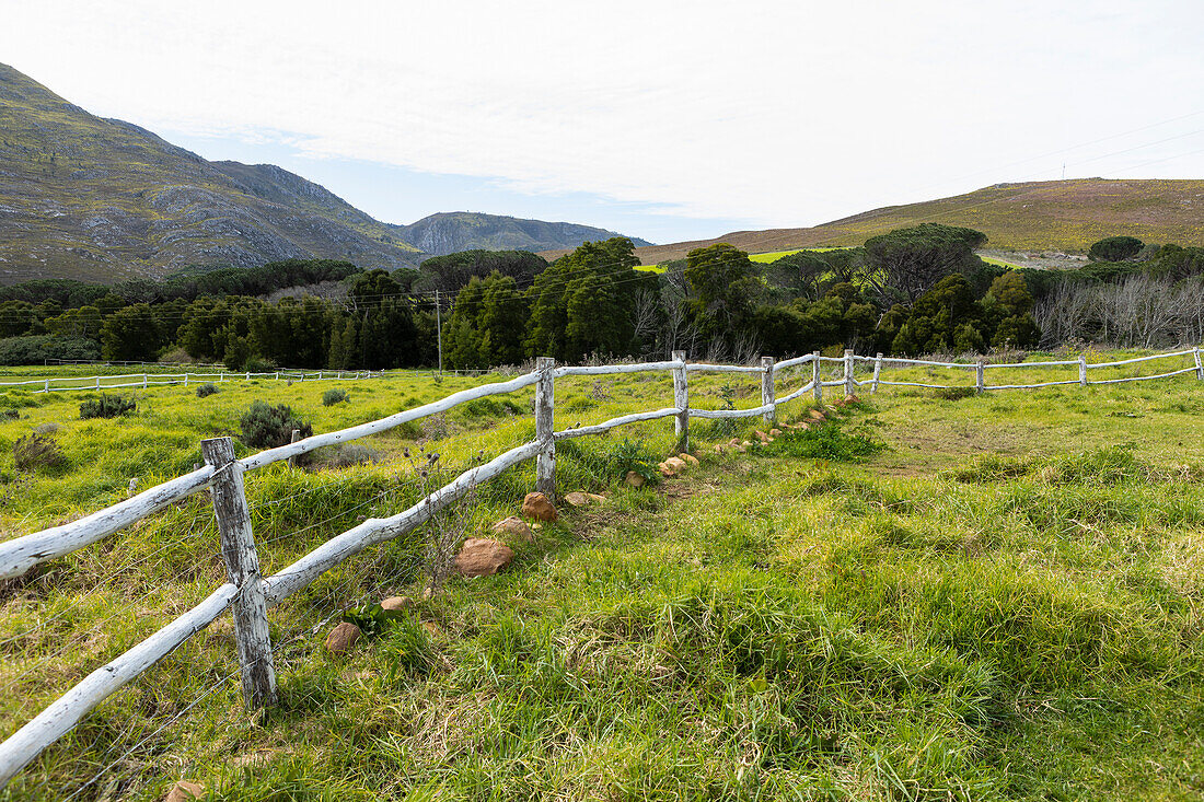 Post and rail fence around a field at a farm, Stanford, South Africa