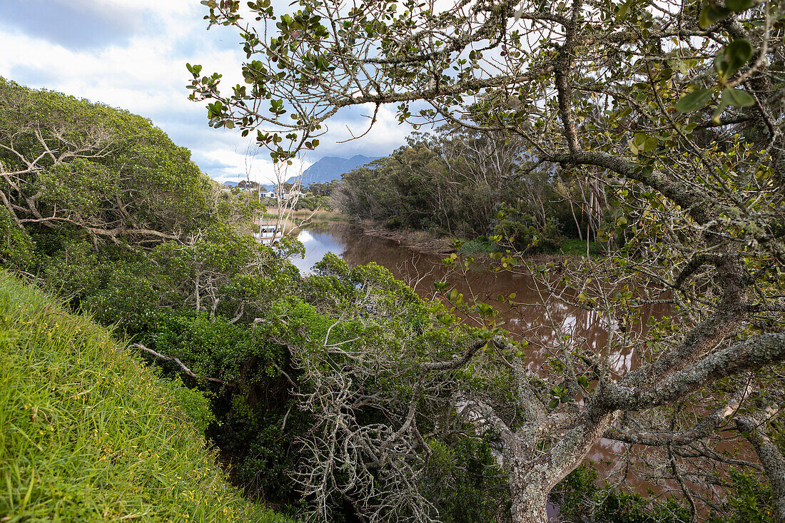 Wandel Pad, a hiking and nature trail along a river estuary, Stanford, South Africa