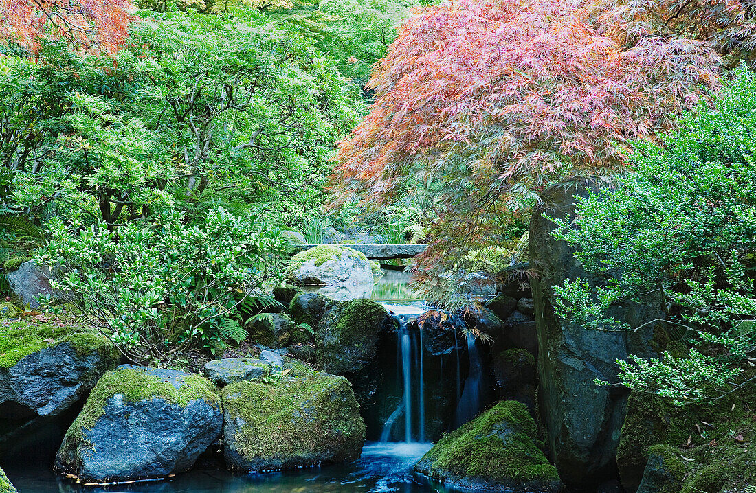 Wasserfall und Brücke im japanischen Garten, Portland, USA