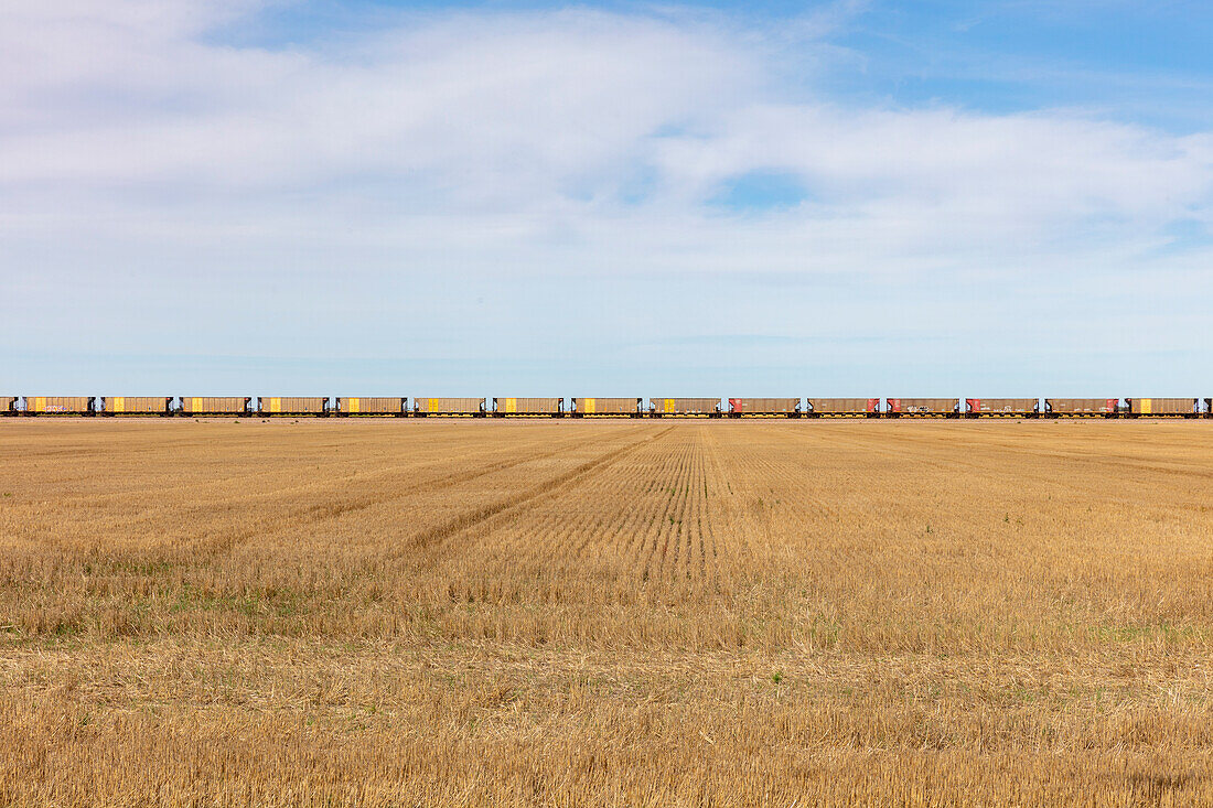 Blick über ein Stoppelfeld und die lange Reihe gelber Güterwaggons eines Güterzugs am Horizont.