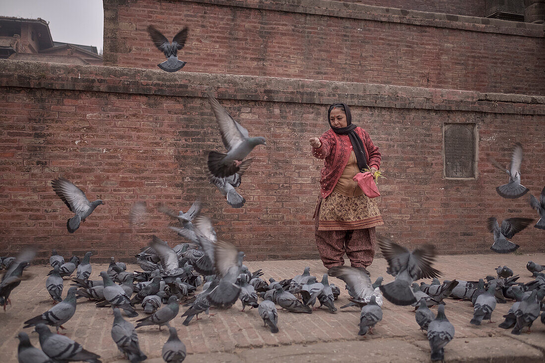 Traditionally dressed woman feeds pigeons in front of Nyatapola Temple at Taumadhi Square, Bhaktapur, Lalitpur, Kathmandu Valley, Nepal, Himalaya, Asia, UNESCO World Heritage Site
