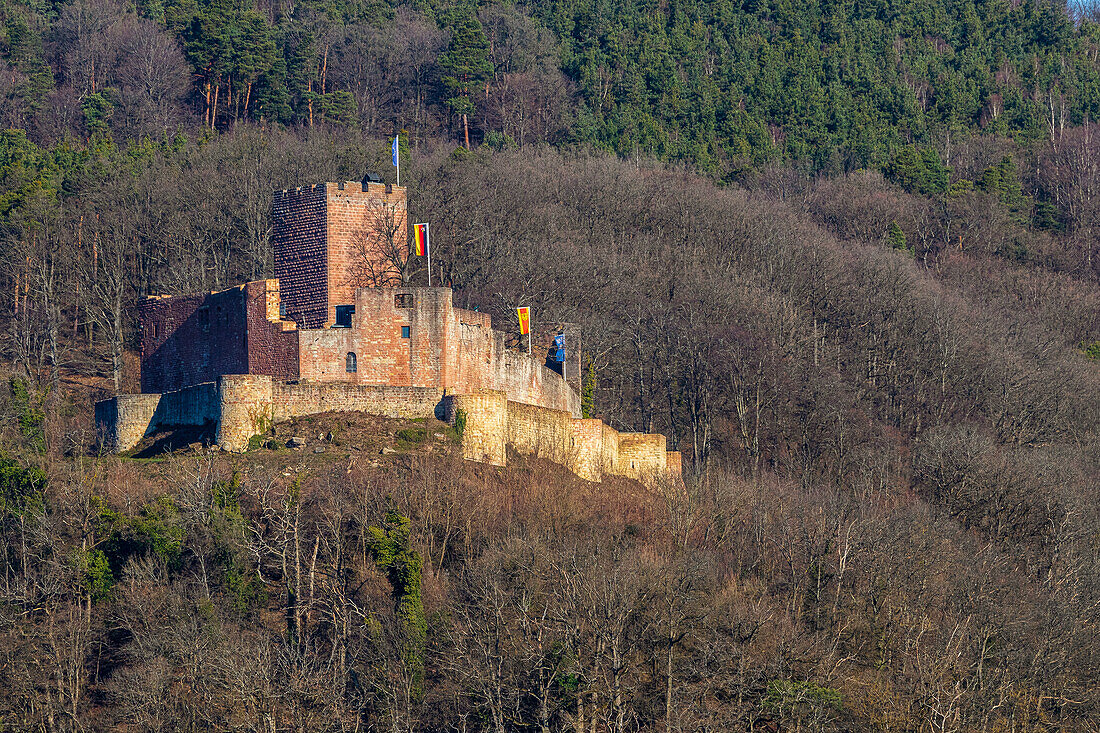 Blick auf die Burg Landeck, Klingenmünster, Südliche Weinstrasse, Pfälzerwald, Rheinland-Pfalz, Deutschland, Europa
