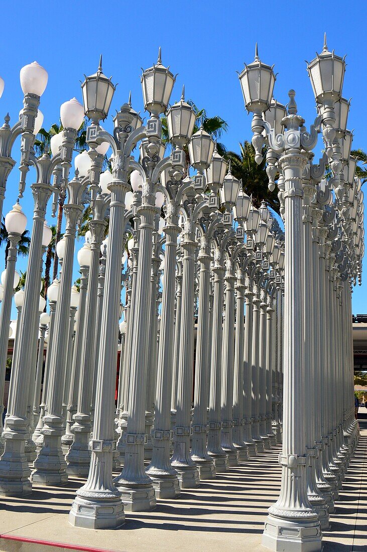 Urban lights at the Los Angeles County Museum of Art.