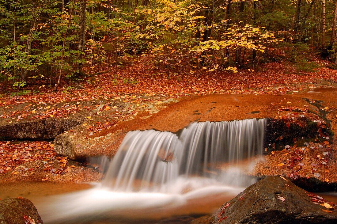 A small waterfall gracefully glides over a rock ledge in autumn.