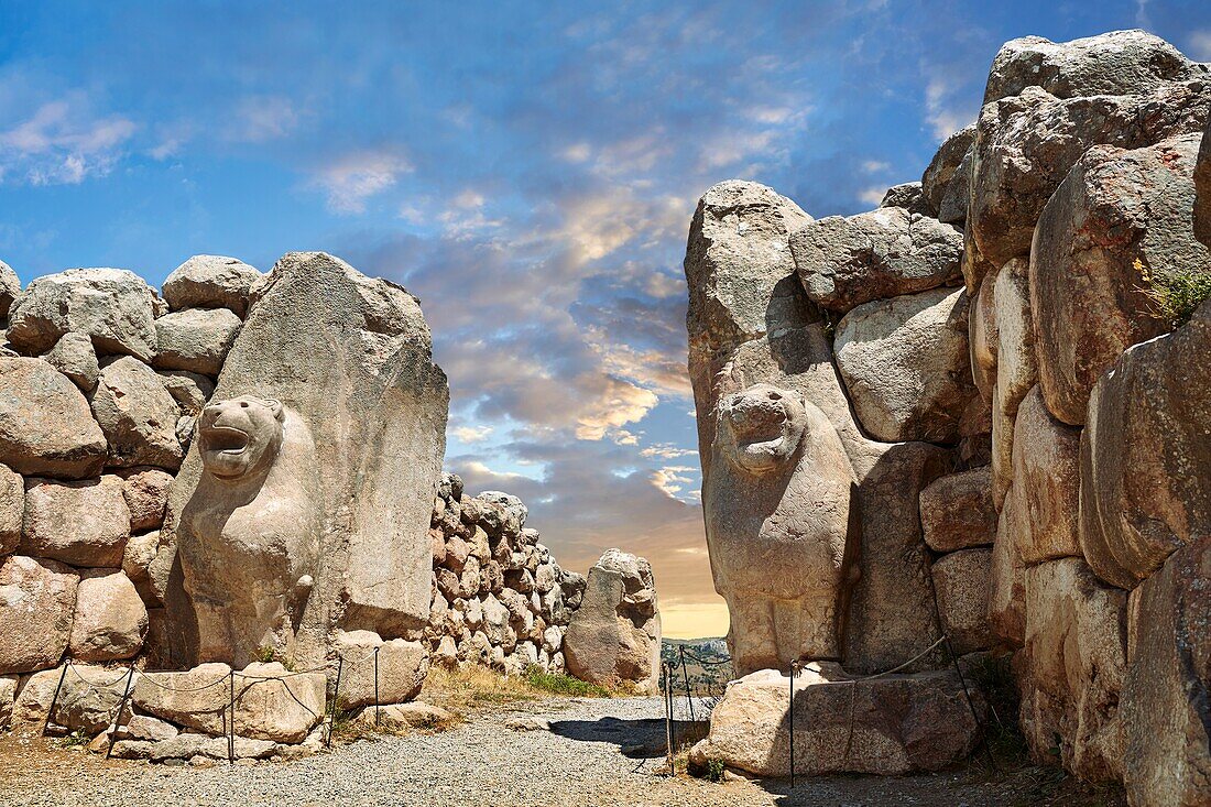 The Hittite lion sculpture of the Lion Gate. Hattusa (Hattusas) late Anatolian Bronze Age capital of the Hittite Empire. Hittite archaeological site and ruins,Bogazkale,Turkey.