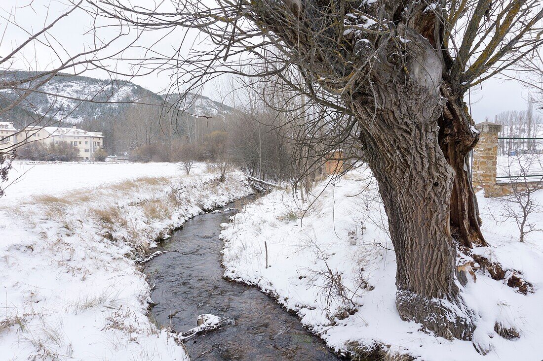 Winterlandschaft Alcala de la Selva Teruel Aragon Spanien.