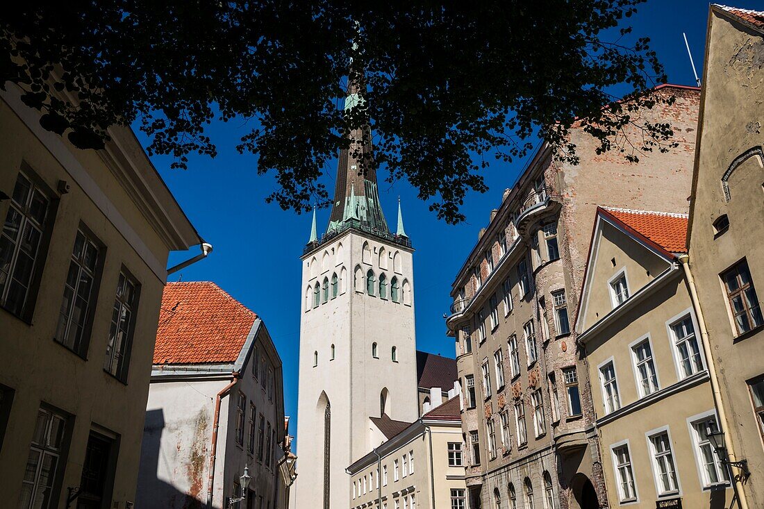 St. Olaf-Kirche (Oleviste Kirik), Altstadt, Tallinn, Estland.