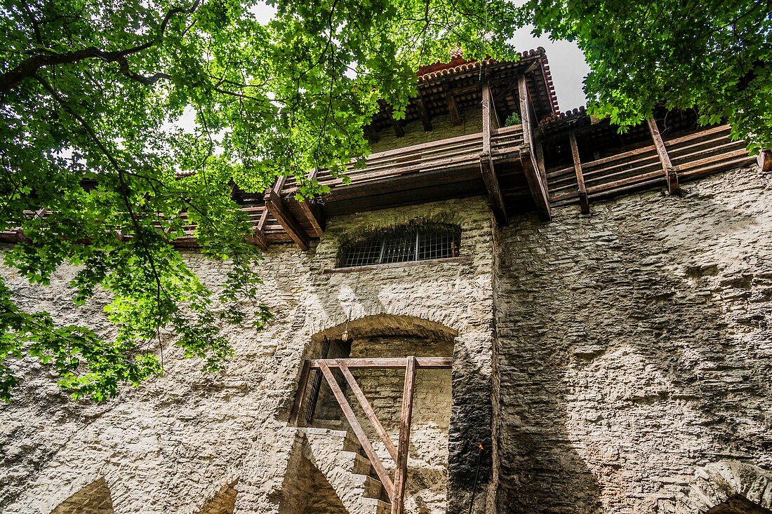 Tallinn City Walls (Tallinna linnamuur) neben dem Garten des dänischen Königs (Taani Kuninga aed), Toompea Hill, Old Town, Tallinn, Estland, Baltikum.