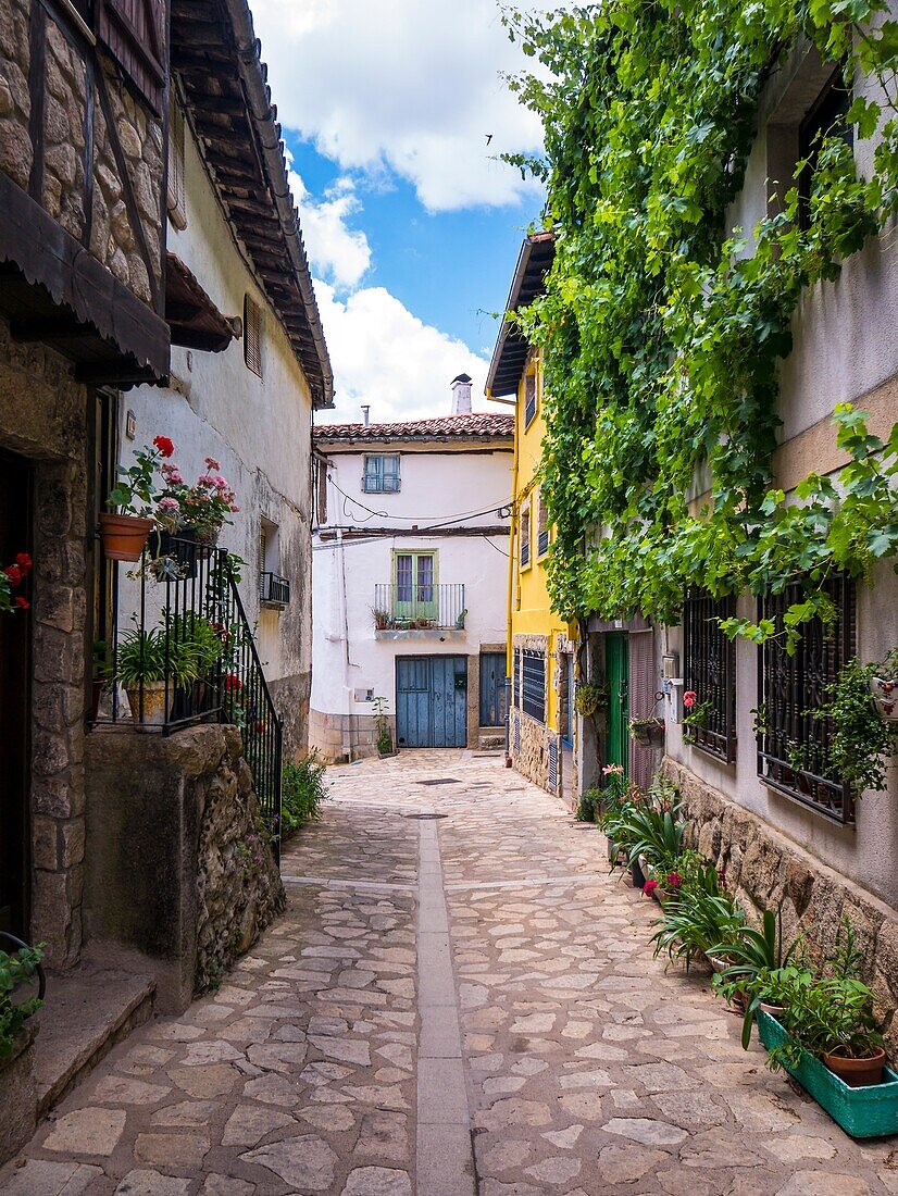 Calle tipica. Villanueva del Conde. Sierra de Francia. Salamanca. Castilla Leon. Espana.