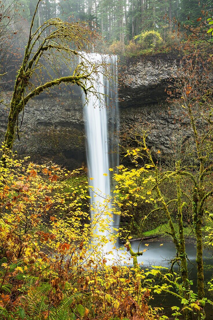 South Falls,Silver Falls State Park,Oregon.