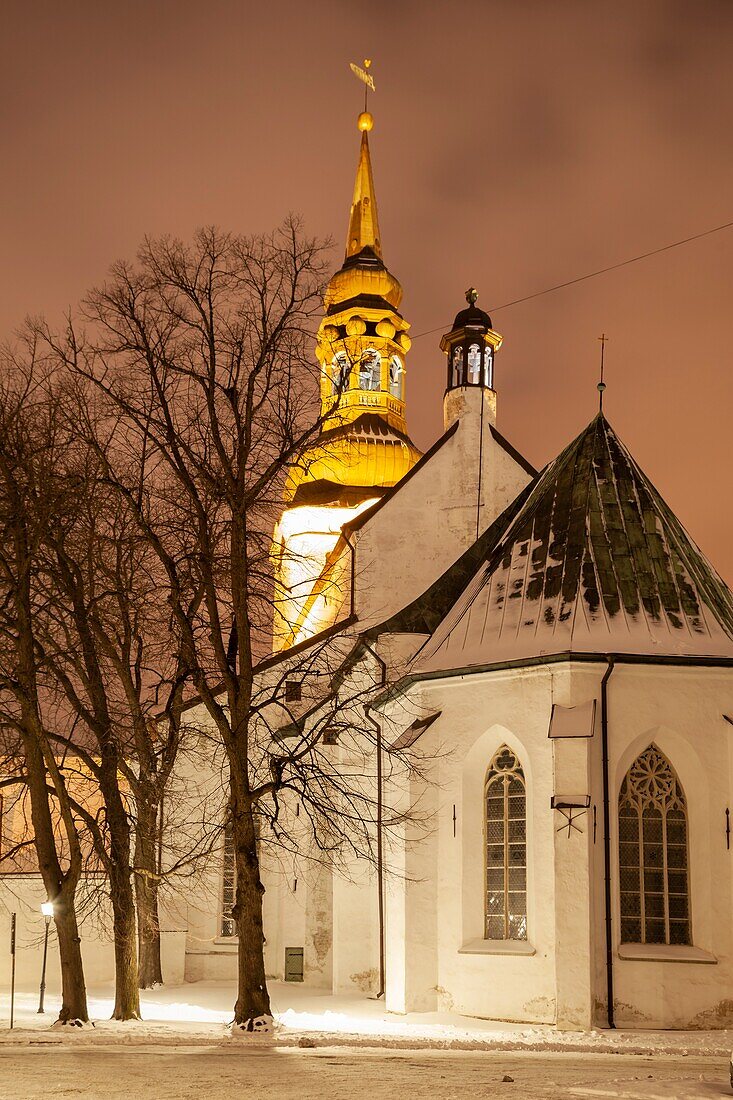 Winternacht in der St. Mary's Kathedrale in der Altstadt von Tallinn, Estland.