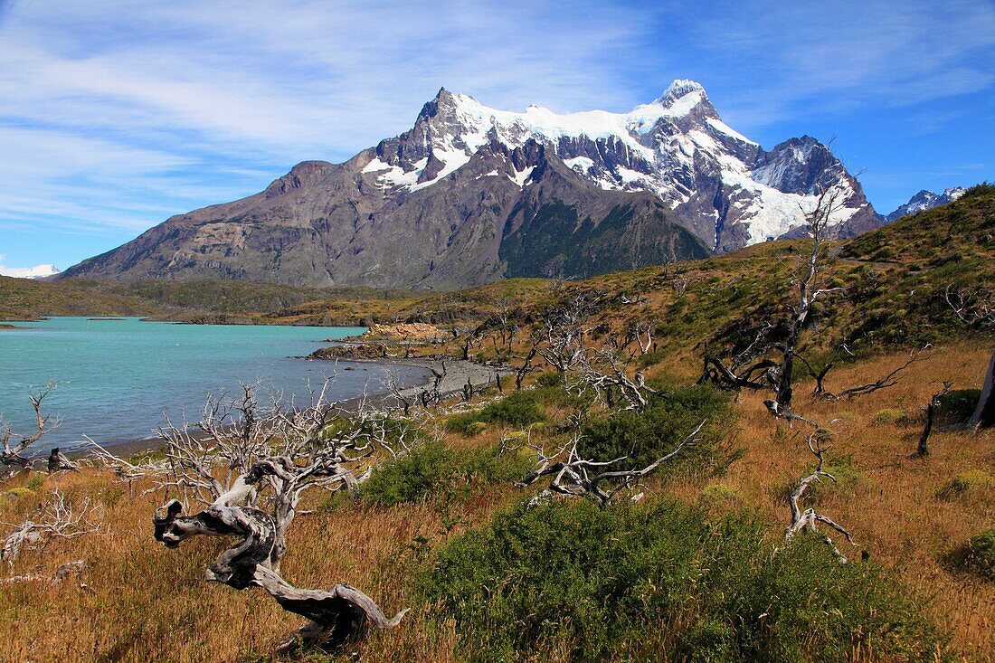 Chile, Magallanes, Torres del Paine, Nationalpark, Paine Grande.