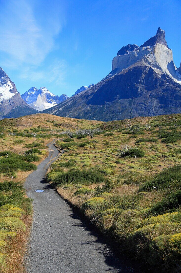 Chile, Magallanes, Torres del Paine, Nationalpark, Aleta de Tiburon, Cuernos del Paine, Wanderweg.
