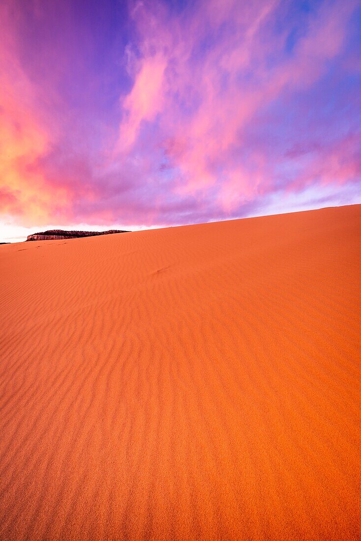 Abendlicht über Dünen, Coral Pink Sand Dunes State Park, Kane County, Utah, USA.