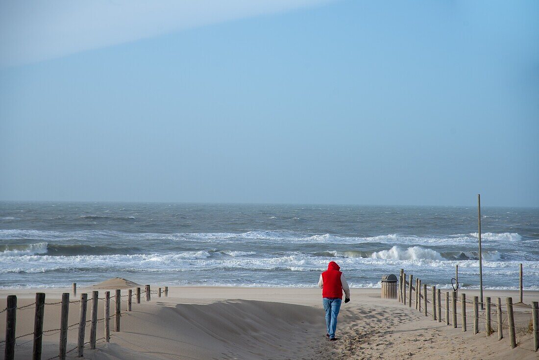 Mann, der in Holland auf das Meer zugeht.