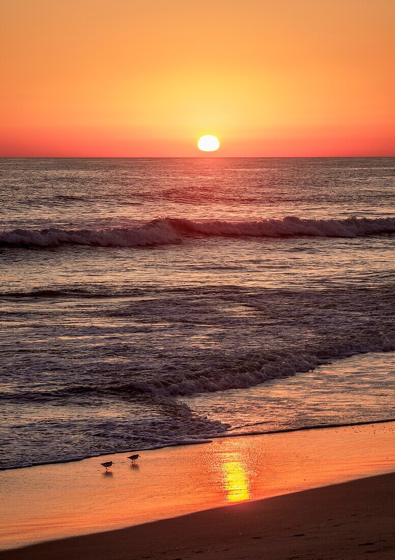 Faro Strand bei Sonnenuntergang, Ilha de Faro, Naturpark Ria Formosa, Faro, Algarve, Portugal.