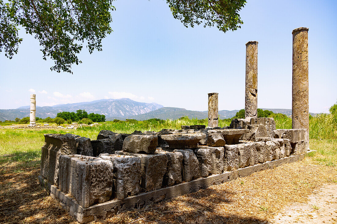 Heraion of Samos, view from South building. on large temple with column, archaeological site of ancient sanctuary of Greek goddess Hera at Ireon on Samos island in Greece