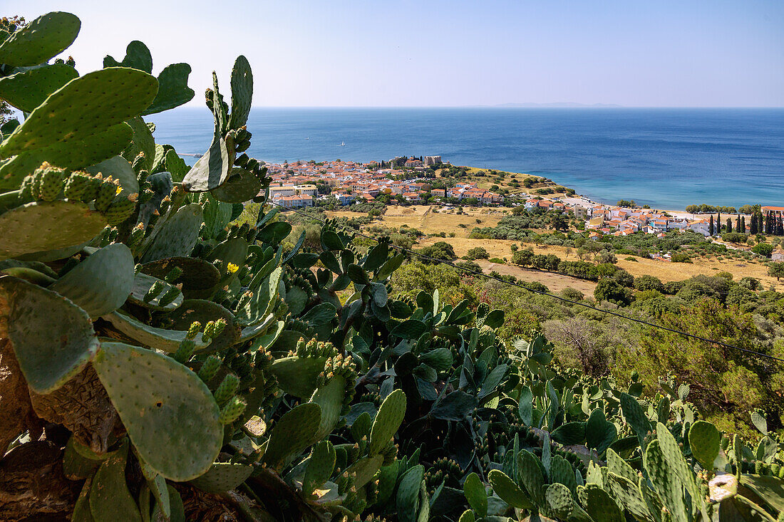 Pythagorion, Ausblick vom Kloster Moni Panagias Spilianis mit Opuntien, auf der Insel Samos in Griechenland