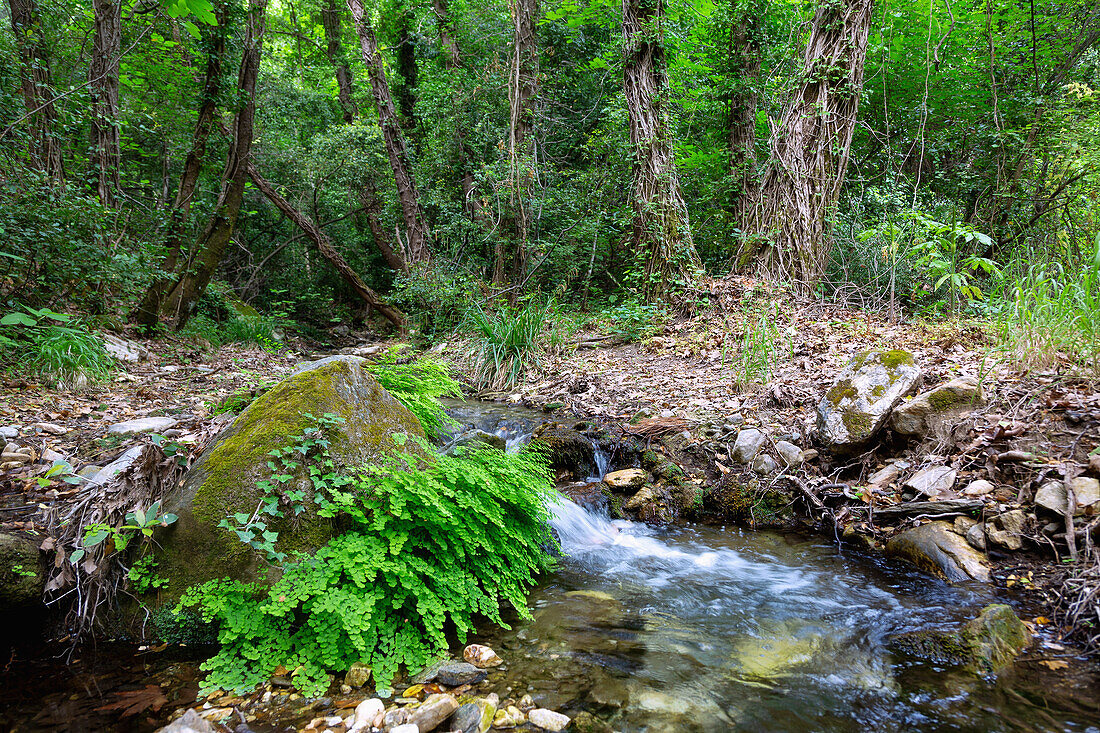 Nightingale Valley Valeontates in the northeast of the island of Samos in Greece