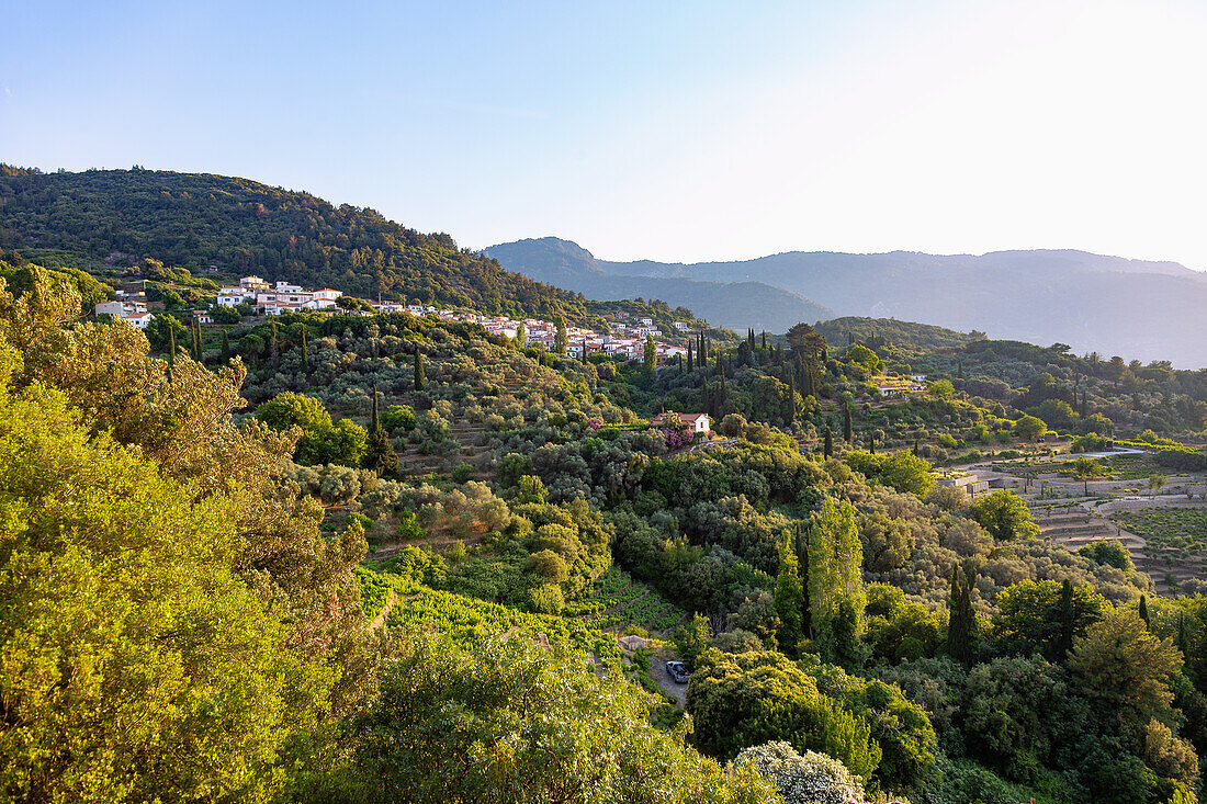 Vourliotes, mountain village in the north of Samos island in Greece